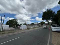 Terreno / Lote Comercial para alugar, 350m² no Pinheirinho, Curitiba - Foto 5