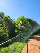 Terreno / Lote / Condomínio à venda no Brasilia, Ibiporã - Foto 10