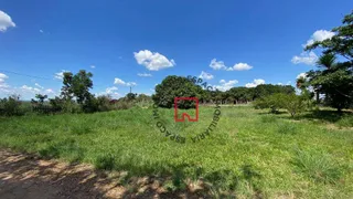 Fazenda / Sítio / Chácara com 6 Quartos à venda, 300m² no Paranoá, Brasília - Foto 36