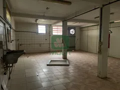Loja / Salão / Ponto Comercial com 1 Quarto para alugar, 1000m² no Marta Helena, Uberlândia - Foto 12