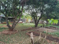 Fazenda / Sítio / Chácara com 3 Quartos à venda, 120m² no Parque Pacheco Chaves, Ourinhos - Foto 5