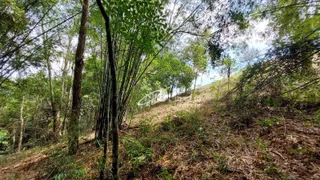 Fazenda / Sítio / Chácara à venda, 20000m² no Lagoa Nova, Guararema - Foto 33