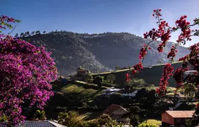 Terreno / Lote / Condomínio à venda no Bonsucesso, Teresópolis - Foto 11