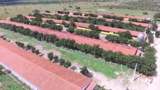 Fazenda / Sítio / Chácara com 3 Quartos à venda, 8m² no , Pocinhos - Foto 41
