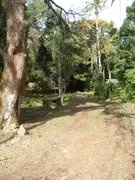 Fazenda / Sítio / Chácara com 3 Quartos à venda, 31000m² no Ilha de Guaratiba, Rio de Janeiro - Foto 5