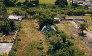 Fazenda / Sítio / Chácara à venda, 15m² no Zona Rural, Jataizinho - Foto 28