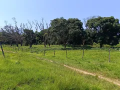 Fazenda / Sítio / Chácara à venda, 75000m² no Ilha de Guaratiba, Rio de Janeiro - Foto 1