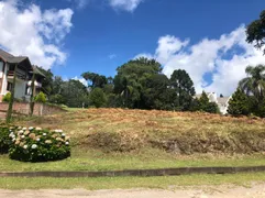 Terreno / Lote / Condomínio à venda, 1385m² no Mato Queimado, Gramado - Foto 2