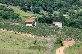 Fazenda / Sítio / Chácara com 2 Quartos à venda, 200m² no Zona Rural, Morungaba - Foto 10