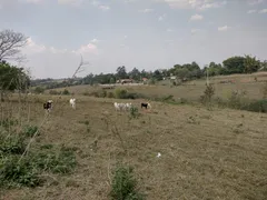 Fazenda / Sítio / Chácara à venda, 28000m² no Zona Rural, Porangaba - Foto 5