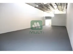 Loja / Salão / Ponto Comercial com 1 Quarto para alugar, 346m² no Martins, Uberlândia - Foto 5