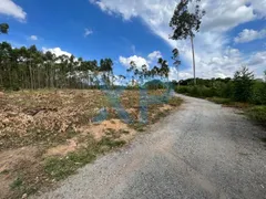 Fazenda / Sítio / Chácara com 2 Quartos à venda, 1500m² no Zona Rural, Carmo do Cajuru - Foto 2