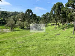 Fazenda / Sítio / Chácara com 1 Quarto à venda, 5000m² no , Campo Alegre - Foto 3