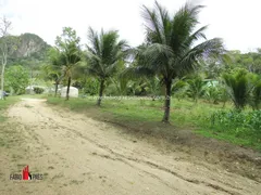 Fazenda / Sítio / Chácara com 4 Quartos à venda, 183000m² no Zona Rural, Rio Bonito - Foto 21