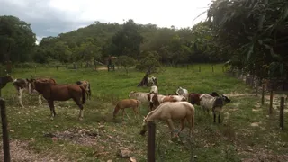 Fazenda / Sítio / Chácara com 3 Quartos à venda, 16m² no , Goiás - Foto 5