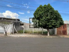Terreno / Lote / Condomínio à venda, 250m² no Jardim Dona Regina, Santa Bárbara D'Oeste - Foto 1