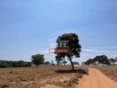 Fazenda / Sítio / Chácara à venda, 7130000m² no Zona Rural, Bom Jardim de Goiás - Foto 10