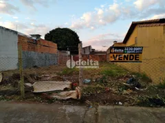 Terreno / Lote / Condomínio à venda, 300m² no Jardim das Palmeiras, Uberlândia - Foto 2