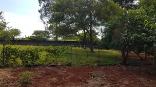 Terreno / Lote / Condomínio à venda, 5000m² no Conjunto Cafezal 1, Londrina - Foto 10