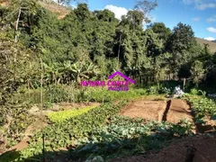 Fazenda / Sítio / Chácara com 10 Quartos à venda, 290000m² no Serra, Teresópolis - Foto 16