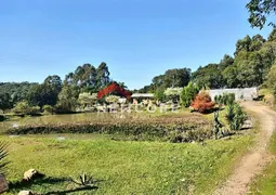 Fazenda / Sítio / Chácara com 3 Quartos à venda, 20000m² no Fazenda Souza, Caxias do Sul - Foto 7