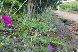 Terreno / Lote / Condomínio à venda, 12434m² no Centro, Monte Belo do Sul - Foto 3