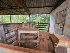 Fazenda / Sítio / Chácara com 2 Quartos à venda, 200m² no Agua Boa, Paiçandu - Foto 18