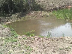 Fazenda / Sítio / Chácara com 2 Quartos à venda, 70m² no Zona Rural, Ouro Fino - Foto 15