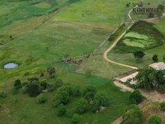Fazenda / Sítio / Chácara com 3 Quartos à venda, 4700m² no Jatobá, Vitória da Conquista - Foto 8