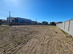 Terreno / Lote / Condomínio para venda ou aluguel, 1404m² no Roseira, São José dos Pinhais - Foto 11