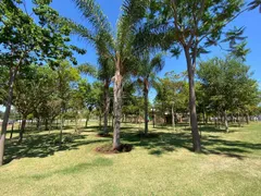 Terreno / Lote / Condomínio à venda, 360m² no Residencial Alto do Castelo, Ribeirão Preto - Foto 32