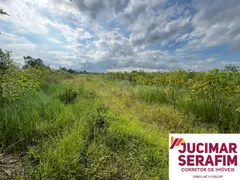 Fazenda / Sítio / Chácara com 1 Quarto à venda, 5500m² no Nova Descoberta, Tijucas - Foto 8