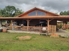 Fazenda / Sítio / Chácara com 2 Quartos à venda, 1764m² no Macacos, Camboriú - Foto 6