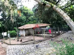 Fazenda / Sítio / Chácara com 4 Quartos à venda, 470000m² no Zona Rural, Florestal - Foto 20