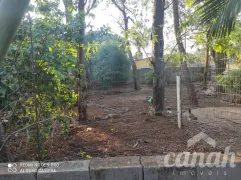 Fazenda / Sítio / Chácara com 3 Quartos à venda, 240m² no Jardim das Palmeiras, Ribeirão Preto - Foto 24