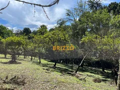 Fazenda / Sítio / Chácara com 3 Quartos à venda, 190m² no Centro, Campo Magro - Foto 30