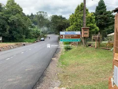 Fazenda / Sítio / Chácara à venda, 196000m² no Avenida Central, Gramado - Foto 27