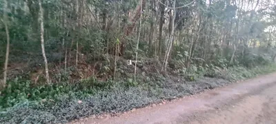 Terreno / Lote / Condomínio à venda, 3600m² no Condominio Meu Recanto, Embu das Artes - Foto 6