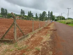 Fazenda / Sítio / Chácara à venda, 1225m² no Jardim Ouro Cola, Maringá - Foto 1