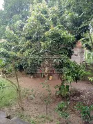 Fazenda / Sítio / Chácara com 2 Quartos à venda, 120m² no Angola, Santa Branca - Foto 12