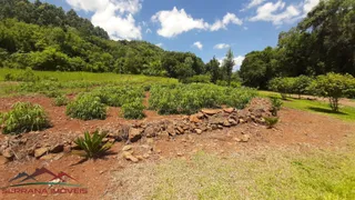 Fazenda / Sítio / Chácara com 3 Quartos à venda, 100m² no Pinhal Alto, Nova Petrópolis - Foto 15