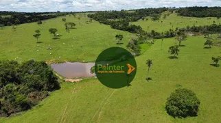 Fazenda / Sítio / Chácara à venda, 2613600m² no Zona Rural, Urutaí - Foto 16