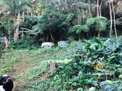 Fazenda / Sítio / Chácara com 2 Quartos à venda, 870m² no Boa Vista, Mairiporã - Foto 9