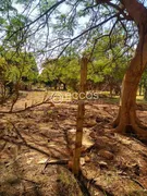 Terreno / Lote / Condomínio à venda, 1000m² no Morada dos Pássaros, Uberlândia - Foto 2