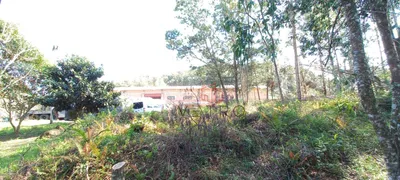 Fazenda / Sítio / Chácara à venda, 1200m² no Vale das Colinas, Gramado - Foto 5