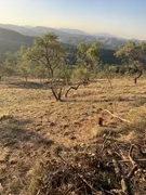 Terreno / Lote / Condomínio à venda, 1900m² no Macacos, Nova Lima - Foto 1