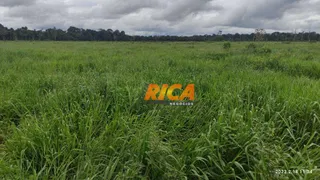 Fazenda / Sítio / Chácara à venda, 1200000m² no , Candeias do Jamari - Foto 4