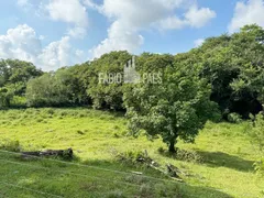 Fazenda / Sítio / Chácara com 3 Quartos à venda, 34656m² no Papucaia, Cachoeiras de Macacu - Foto 28