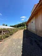 Fazenda / Sítio / Chácara com 2 Quartos à venda, 30000m² no Zona Rural, Campo Alegre - Foto 16