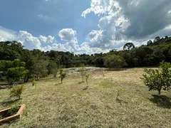 Fazenda / Sítio / Chácara à venda, 40000m² no Zona Rural, Campo Alegre - Foto 12